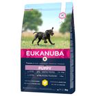 Eukanuba Puppy Large Breed Chicken