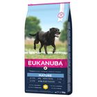 Eukanuba Thriving Mature Large Breed Chicken