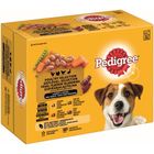 Pedigree Pouch in Gravy Multipack