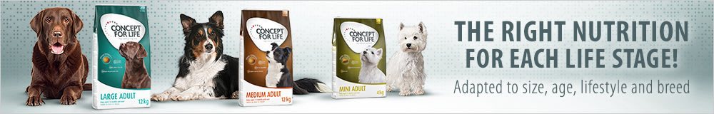 Discover Concept for Life Dry Dog Food