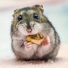 Snacks & Supplements