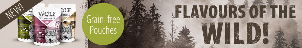 Discover Wolf of Wilderness