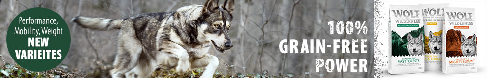 Discover Wolf of Wilderness