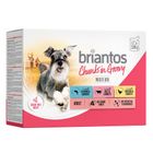 Briantos Chunks in Gravy Saver Pack 48 x 100g