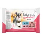 Briantos Fresh Pouch Trial Mix 4 x 100 g
