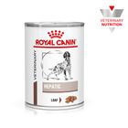 Royal Canin Veterinary Dog - Hepatic Loaf