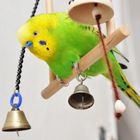 Bird Toys