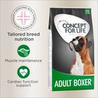 Concept for Life Boxer Adult Concept for Life Boxer Adult