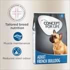 Concept for Life French Bulldog Adult Concept for Life French Bulldog Adult