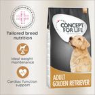Concept for Life Golden Retriever Adult Concept for Life Golden Retriever Adult