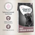 Concept for Life Labrador Retriever Adult Concept for Life Labrador Retriever Adult