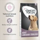 Concept for Life Labrador Sterilised Concept for Life Labrador Sterilised