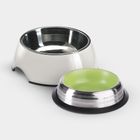 Dog Bowls & Feeders