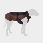 Dog Clothing
