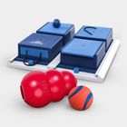 Dog Toys, Sports & Training