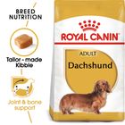 Royal Canin Dachshund Adult