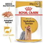 Royal Canin Yorkshire Terrier Adult Loaf