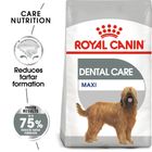 Royal Canin Care Nutrition Maxi Dental Care