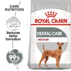 Royal Canin Care Nutrition Medium Dental Care