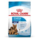 Royal Canin Maxi Starter Mother & Babydog
