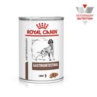 Royal Canin Veterinary Canine Gastrointestinal Loaf