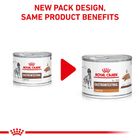 Royal Canin Veterinary Canine Gastrointestinal Low Fat Loaf